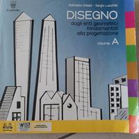 LIBRO DISEGNO RAFFAELLA GREPPI E SERGIO LACCHIA
