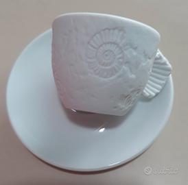 Collection Illy fossile