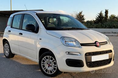 Fiat panda 1.2 benzina 2017 km certificati bianca