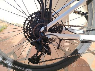 Radon Zr Lady 6.0