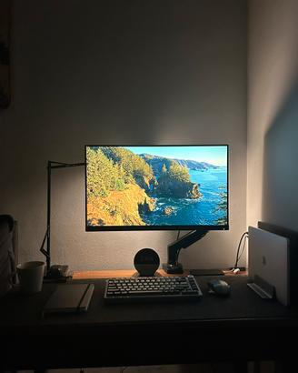 Monitor 27 pollici philips
