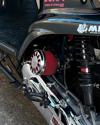 pezzi ricambio booster/minarelli verticale