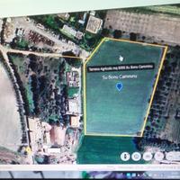 Terreno agricolo mq 8395