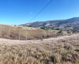 TERRENO PANORAMICO EDIFICABILE A PIGNOLA 10.000mq