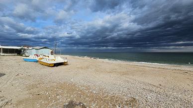 V 2460 - montemarciano