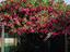 Immagine 14