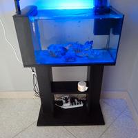 aquario Marino 60 litri aqpet