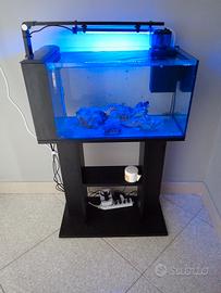 aquario Marino 60 litri aqpet