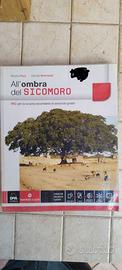 Libro  all'ombra del sicomoro