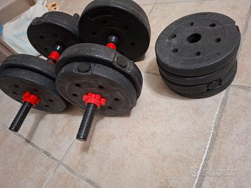 Kit manubri palestra