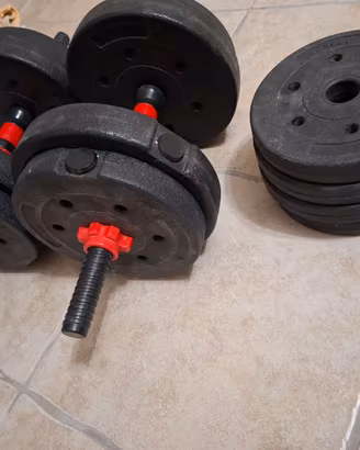 Kit manubri palestra
