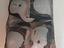 Immagine 2