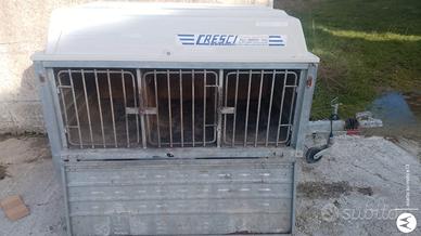 Carrello rimorchio per trasporto cani