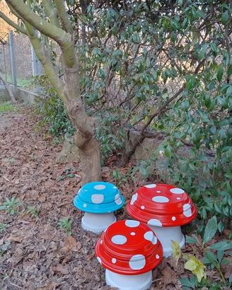 Funghi in terracotta