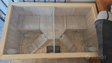 RIccio e teca in legno