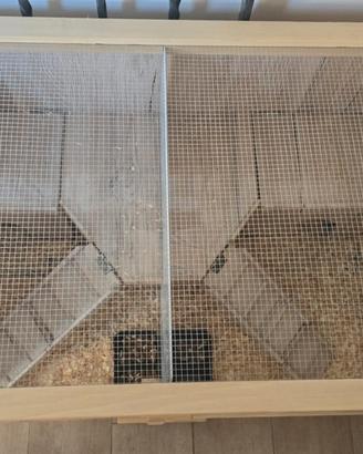 RIccio e teca in legno