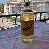 Licor de oro, BOLS (liquore "d'orato")
