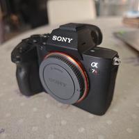 Sony a7Riii (+ Tamron 28-200)