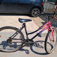 bicicletta 26