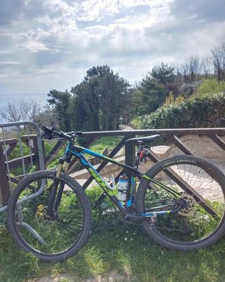 WILIER TRIESTINA 503 ruote 29" taglia S