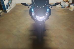 Honda CBR 954 rr Fire Blade 2004