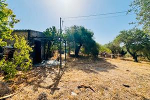 Casetta con terreno Agro Li Punti