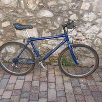 bicicletta MTB