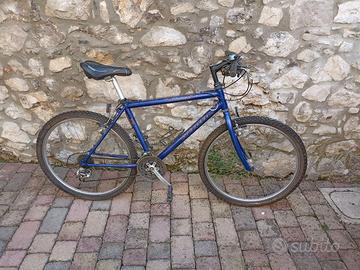 bicicletta MTB