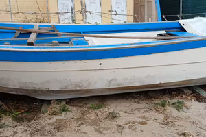 barca 450