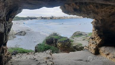 Autista Patente B, D e CQC Persone