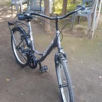 bici luna holland misura 24