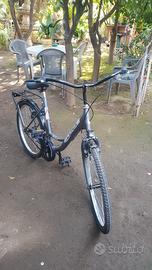 bici luna holland misura 24