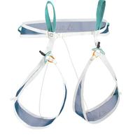 Blue Ice Choucas Light imbrago