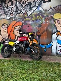 Caballero 500 scrambler