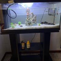 Acquario pronto con mobile di supporto