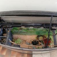 acquario per pesci tropicale 