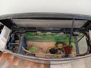 acquario per pesci tropicale 