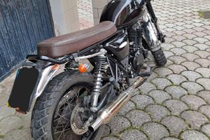 MASH 250 NERA ANNO 2019