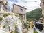 Immagine 24