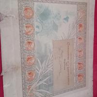 Litografia centenario 1895 diploma