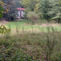 Terreno edificabile a Gambarie