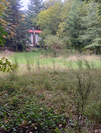 Terreno edificabile a Gambarie