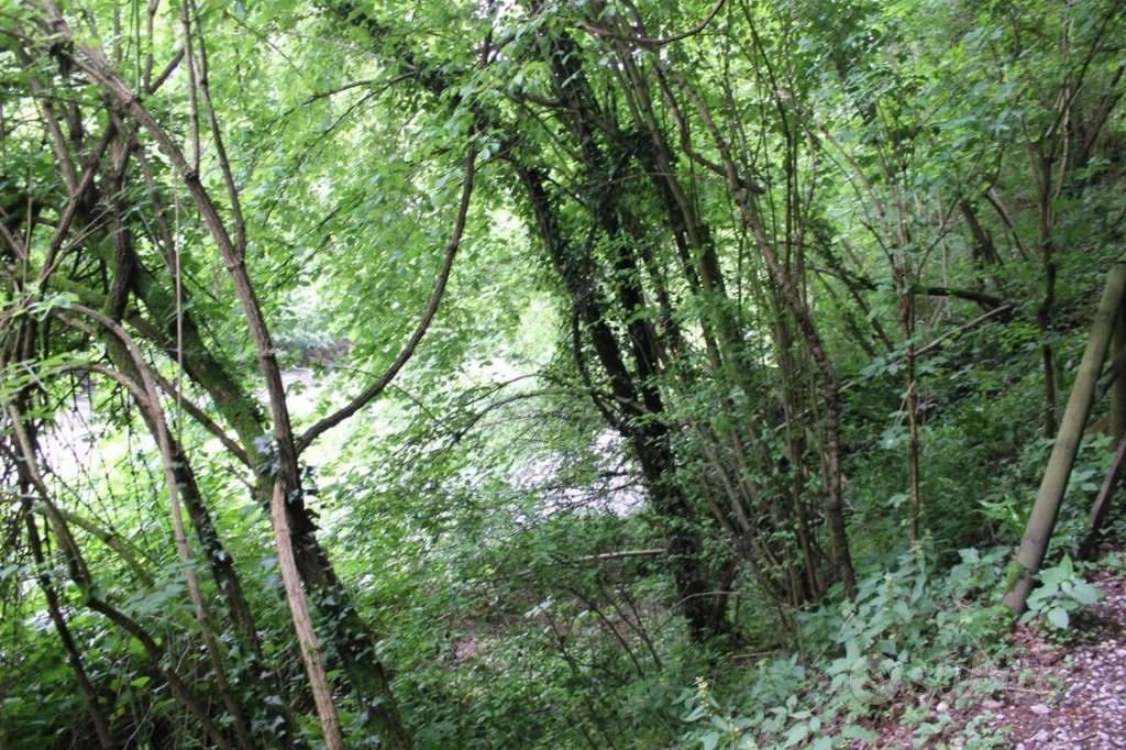 Immobile in asta di 20042 m² a Carate Brianza - Vista 3