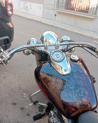 Manubrio Chicano Low