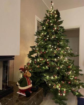 Albero di Natale