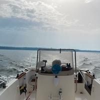 Barca open CAD Marine 18 pronto in banchina