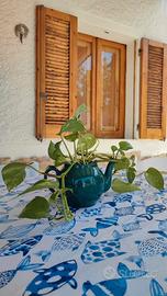 Casa vacanze Sardegna Badesi