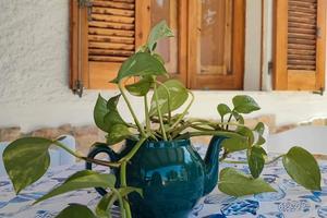 Casa vacanze Sardegna Badesi