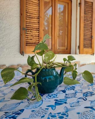 Casa vacanze Sardegna Badesi