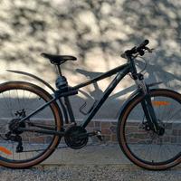 MTB Bulls Wildtail